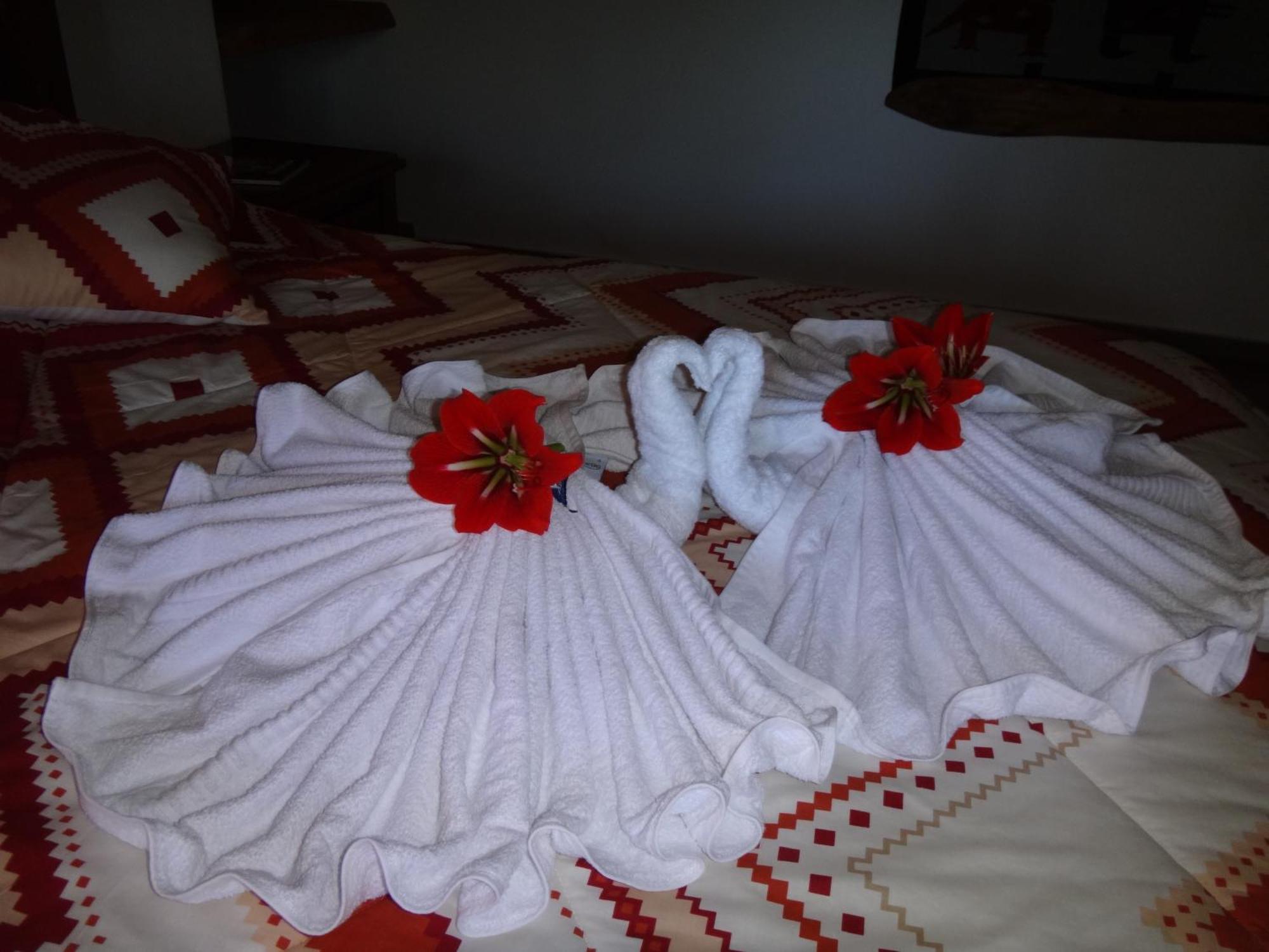 Zaysant Ecolodge Puembo 部屋 写真