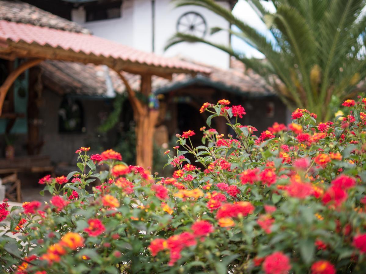 Zaysant Ecolodge Puembo エクステリア 写真