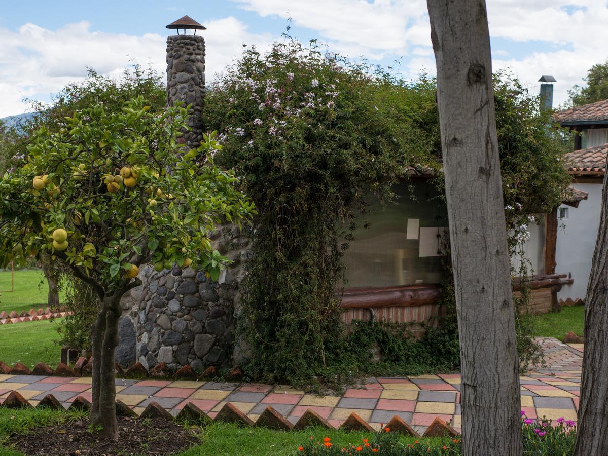 Zaysant Ecolodge Puembo エクステリア 写真